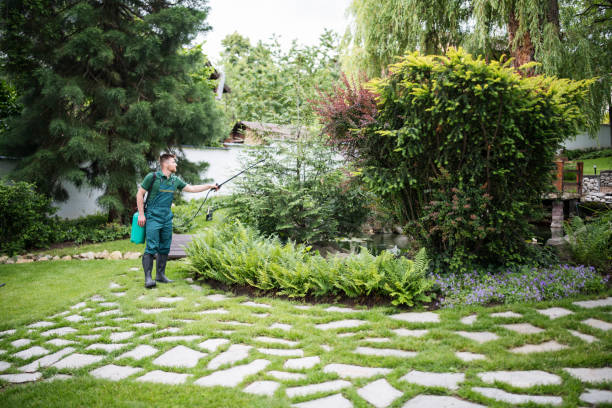 Wasp Removal Services in Fernley, NV
