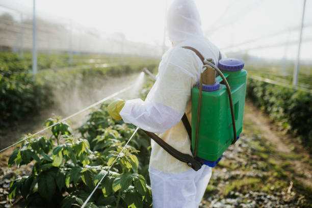 Best Mosquito Control Services  in Fernley, NV